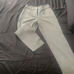 Express straight leg dress pant